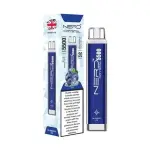 Nerd 5500 Puffs Blueberry Ice